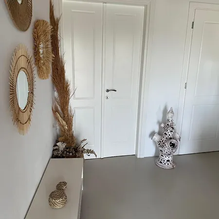 Isla Catalina 阿波罗尼亚